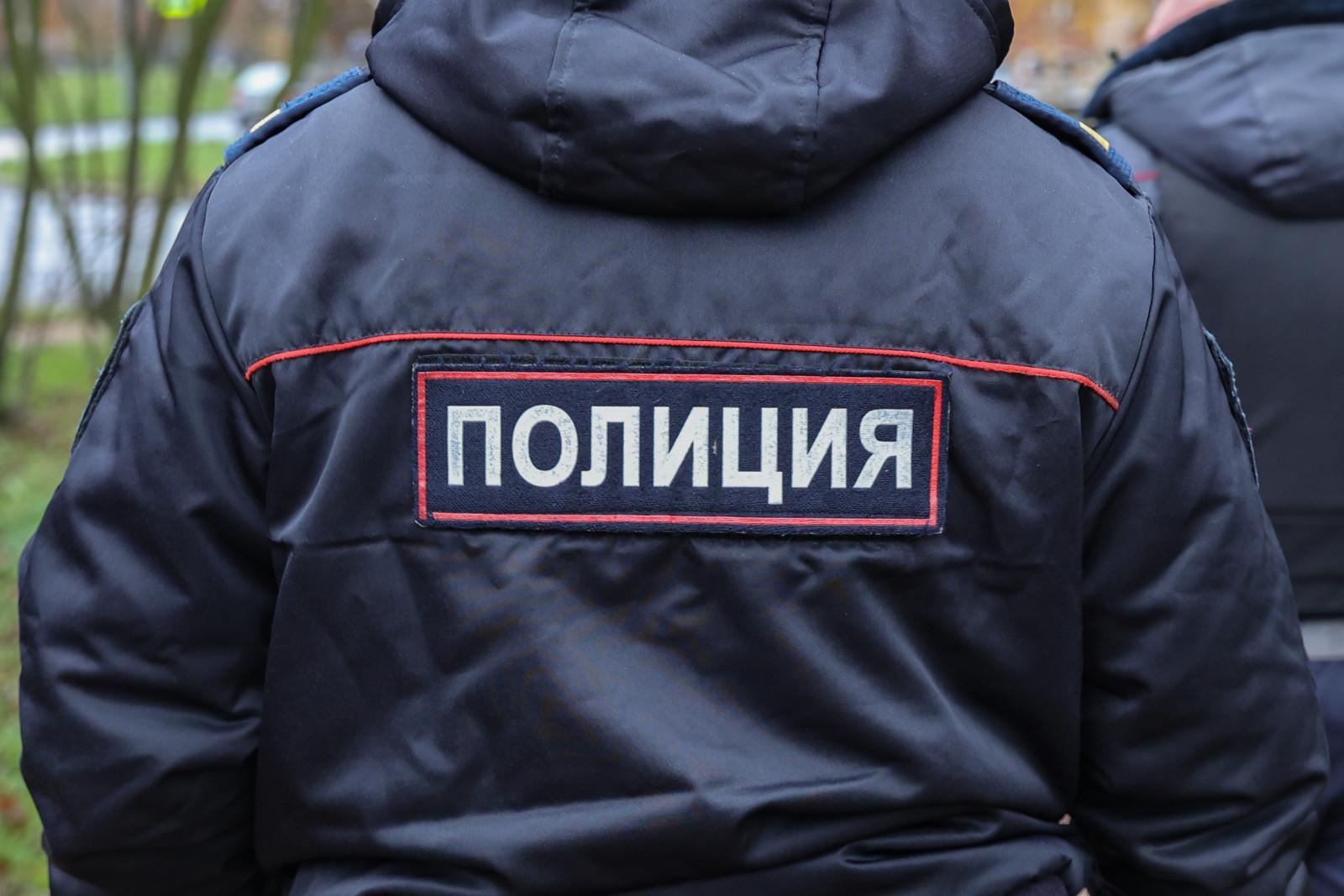 Двое подростков обнесли продуктовый магазин в Ульяновке